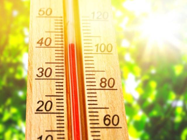 Canicule : conseils et astuces pour protéger sa maison de la chaleur