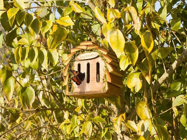 Choisir un nichoir pour les oiseaux du jardin - Gamm vert