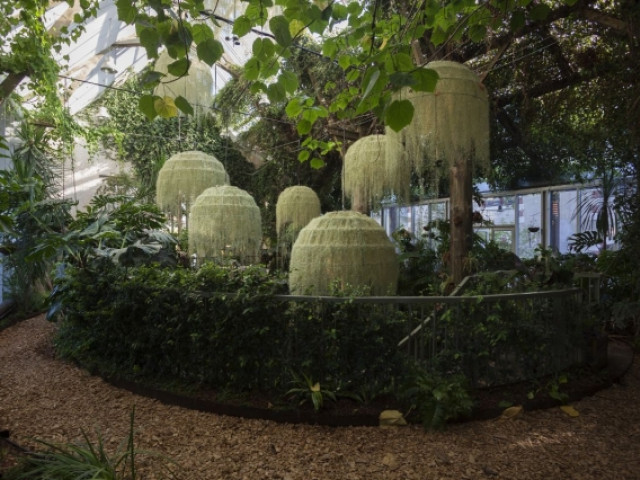 Une installation poétique dans la grande serre de Chaumont-sur-Loire - Rainforest, Patrick Nadeau à Chaumont-sur-Loire