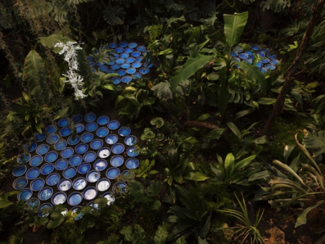 Des coupelles de céramique évocatrices - Rainforest, Patrick Nadeau à Chaumont-sur-Loire