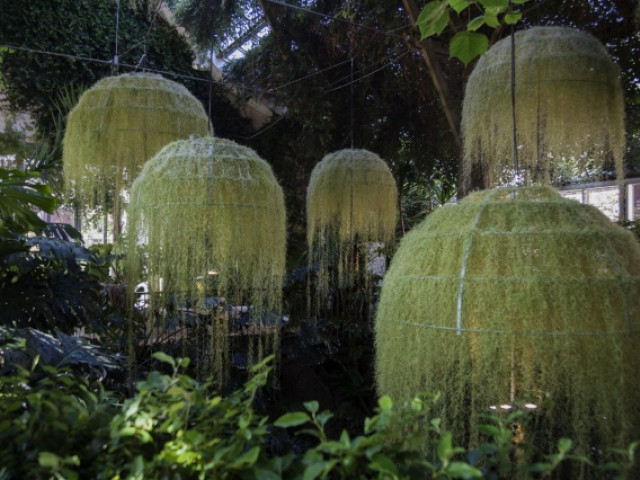 Le festival de Chaumont-sur-Loire : une institution - Rainforest, Patrick Nadeau à Chaumont-sur-Loire