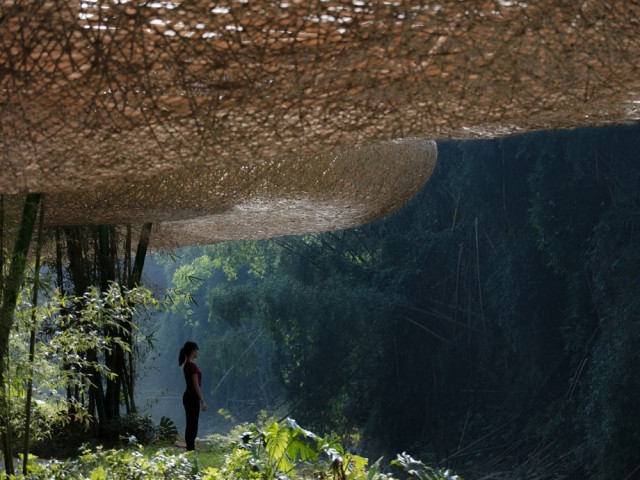 La canopée en bambou 