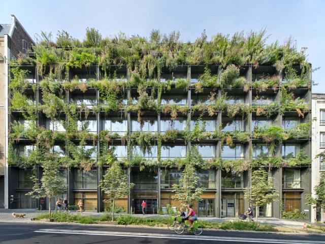 Philippe Starck et Triptyque Architecture imaginent un bâtiment exotique