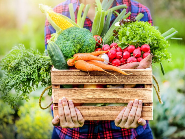 Que faire dans son jardin en août ? 