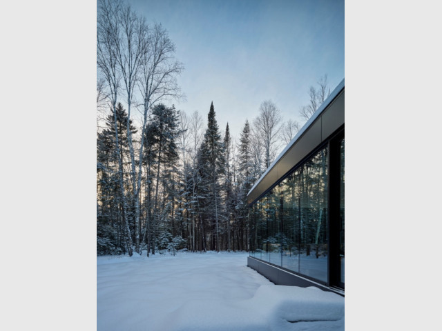 Une maison en verre qui se fond dans le paysage