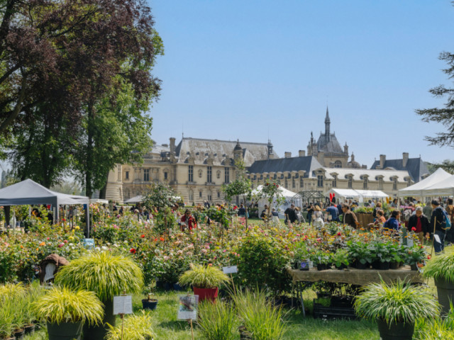 Les Journées des plantes de Chantilly auront lieu du 17 au 20 mai