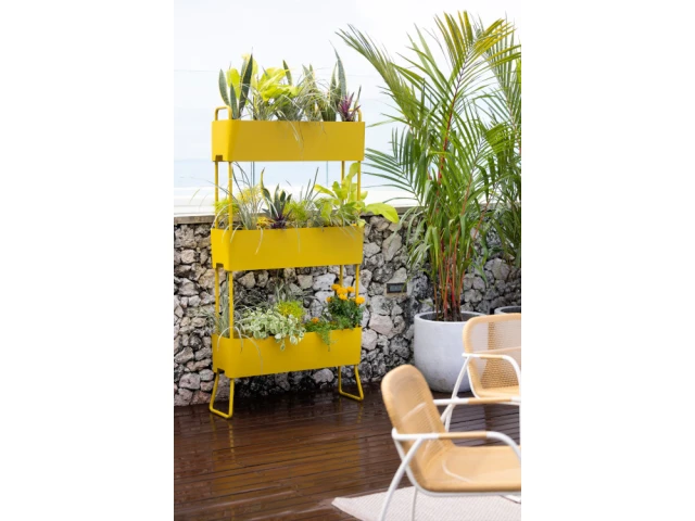 Un petit jardin vertical