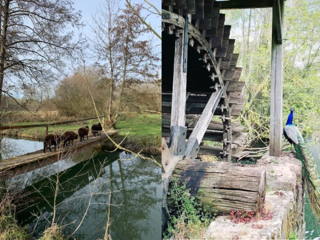 Dans un écrin de verdure