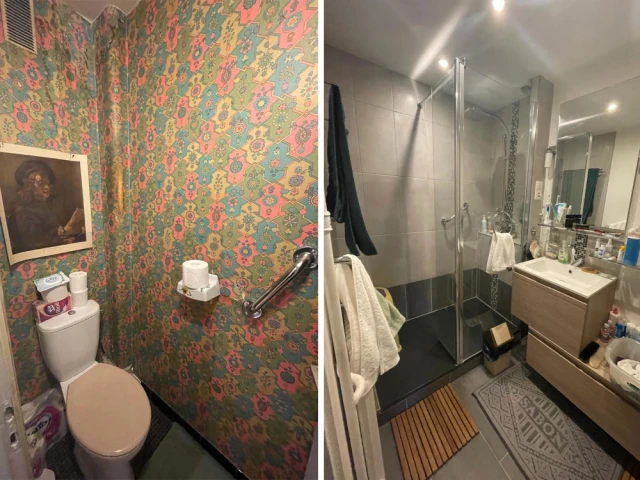 Avant : Une salle de bain et des toilettes en bon état