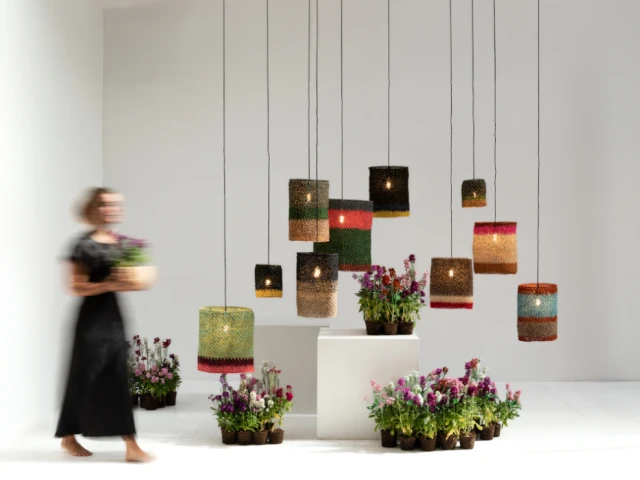 Colibri de Let's Pause