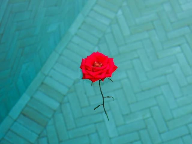 La piscine du Royal Mansour de Marrakech