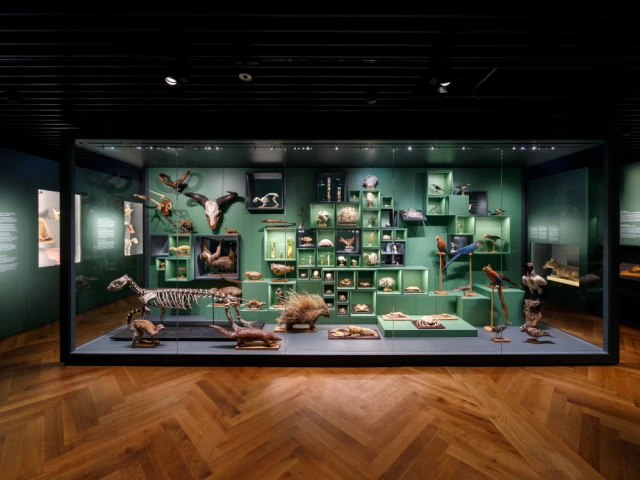 Musée zoologique de Strasbourg 