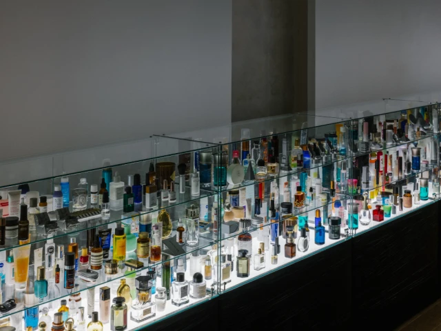 Exposition L&egrave;che-Vitrine &agrave; la Galerie Sultana 