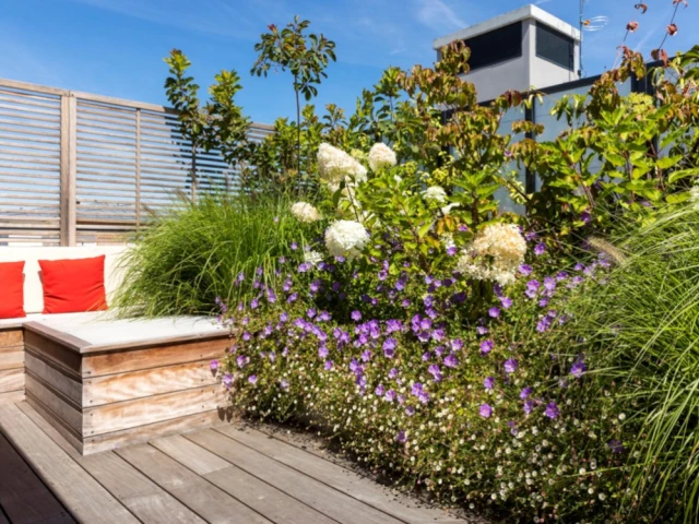 Terrasse am&eacute;nag&eacute;e 