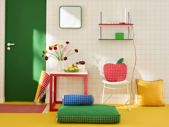 Collaboration avec Anne-Sophie Baryga 