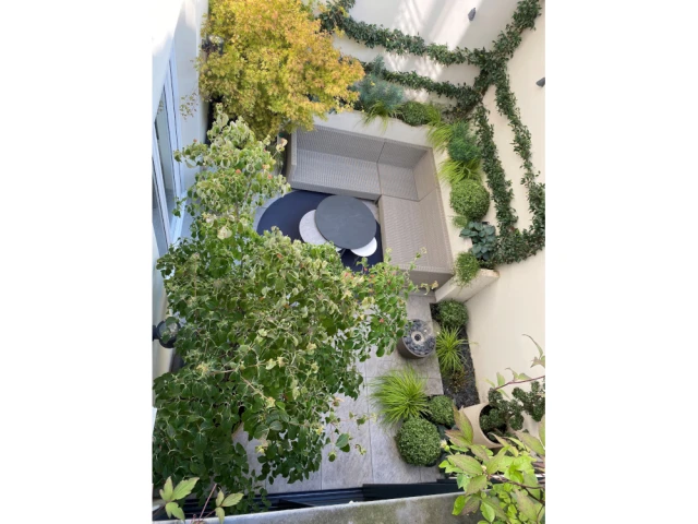 V&eacute;g&eacute;taliser un espace ombrag&eacute; - La nouvelle terrasse 