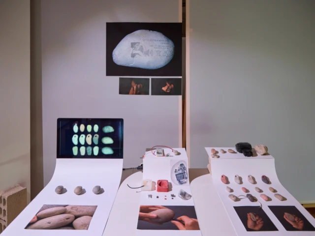 Caillou, Zakine Jacobs