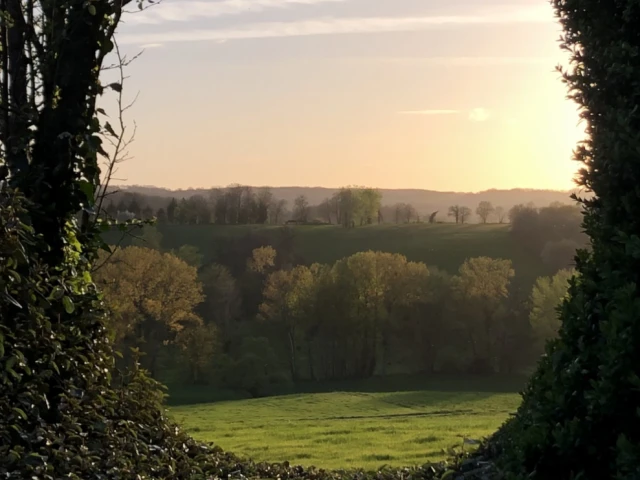 Le Jardin de la Mothe 