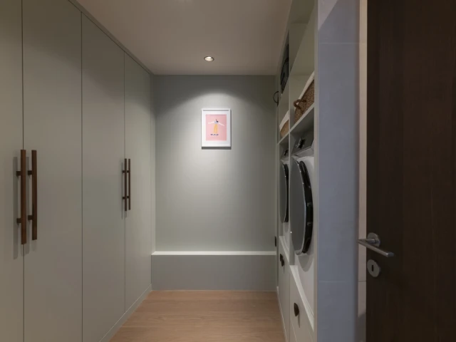 La nouvelle buanderie 