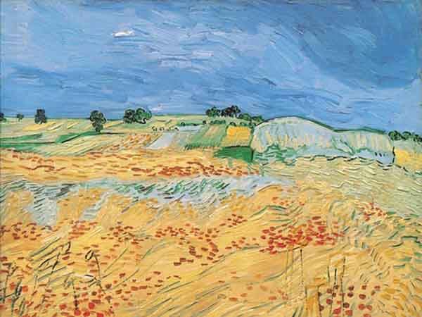 van gogh coquelicots