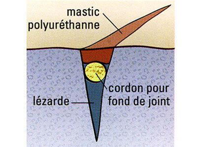 fissure vivante Larousse crépi