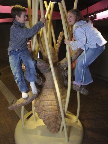 Enfants sur une puce