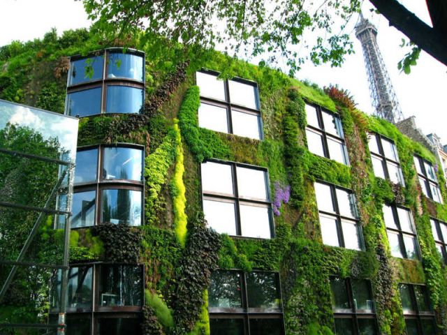 Musée du quai Branly, Paris, 2004.