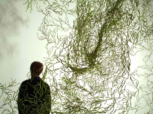 Ronan et Erwan Bouroullec