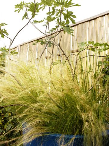 Reportage terrasse sur les toits de Paris - Sabz