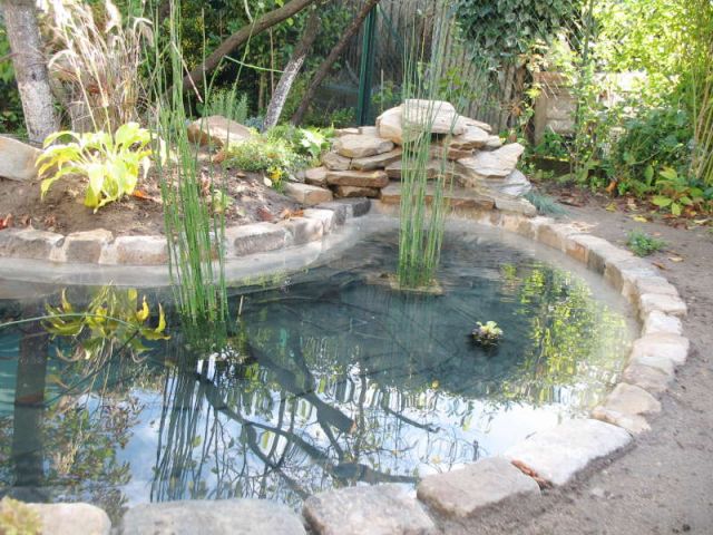 Construire un Bassin Extérieur - Comment Creuser un Jardin d'eau