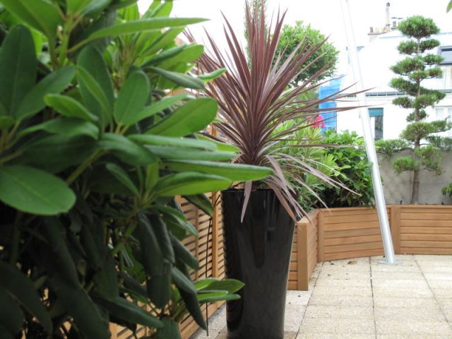 Réalisation balcon - Les Terrasses d'Ile de France