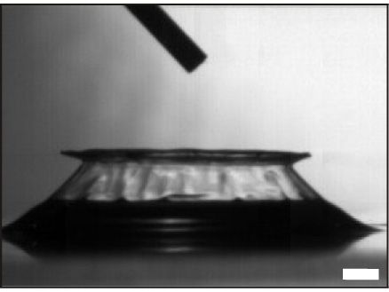 Instantané de la cinétique de repliement du film liquide qui aboutit à la formation d'un anneau composé de petites gouttes (barre : 1mm). 