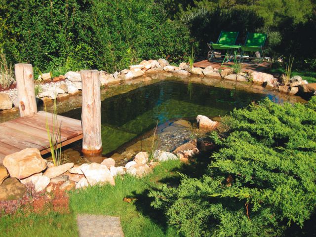 Construire un Étang ou Bassin Extérieur au Jardin Aquatique