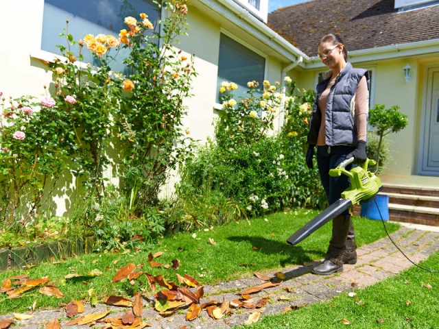 Comment ramasser les feuilles mortes ? - Promesse de Fleurs