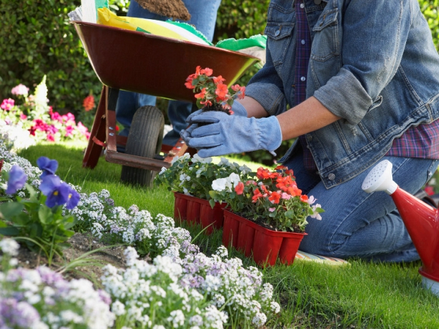 Rentabiliser son jardin, c'est possible