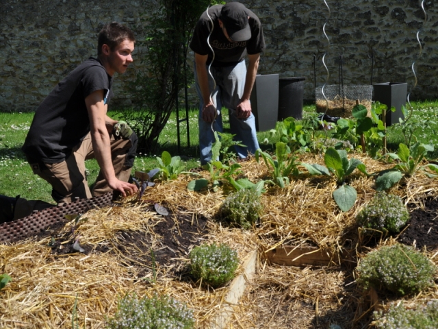 <b>Pas besoin d'avoir un jardin pour jardiner !</b