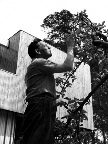 Alvar Aalto dans son jardin 