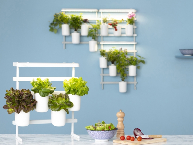 Potager Modulo, Prêt à pousser, avec 4 capsules inclues, 149,95 &euro;