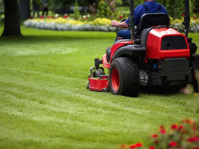 La tondeuse auto-portée, un mini tracteur adapté aux grands jardins