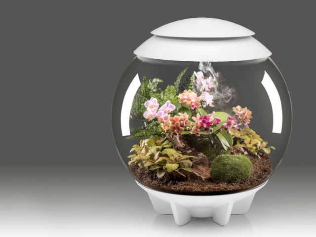 Terrarium biOrb Air 60 by Oase, prix : 399 &euro;