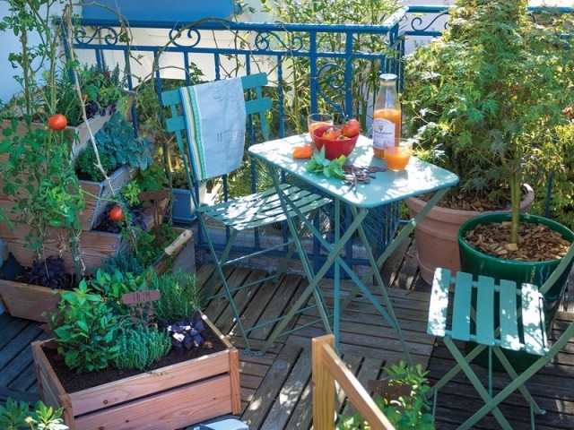 AMÉNAGER SA TERRASSE OU SON BALCON AVEC DES FRUITIERS NAINS ET