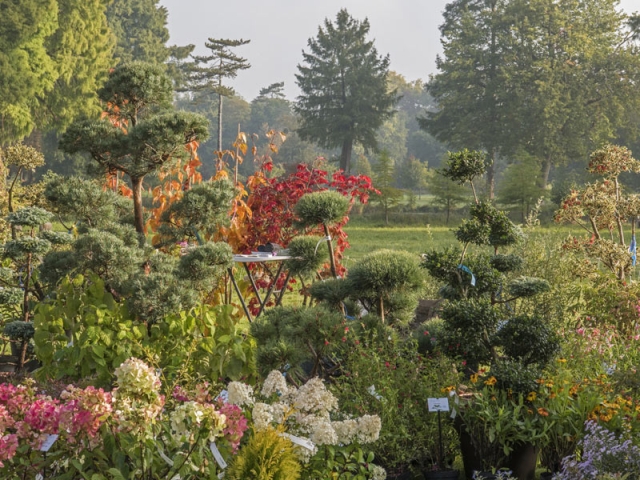 Journées des Plantes : du 9 au 11 octobre 2020 à Chantilly