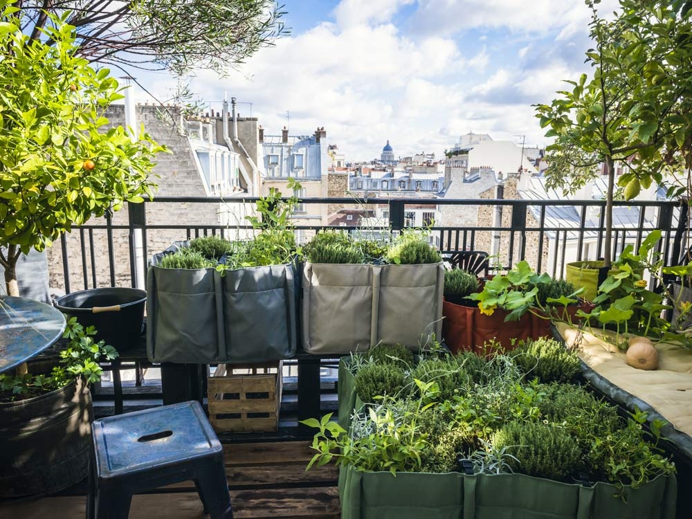 Bac à jardin - La balconnière – Les Urbainculteurs boutique