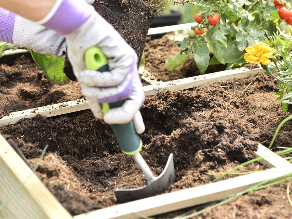 Quel terreau choisir pour son potager ?