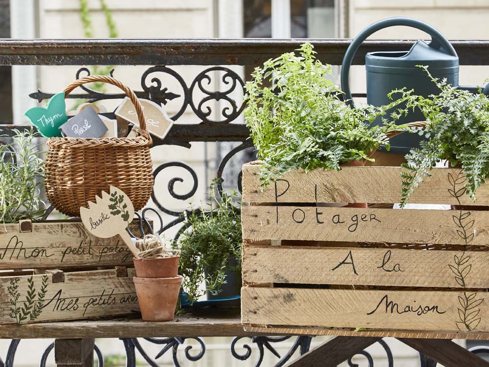 Créer un potager : conseils et astuces de pro