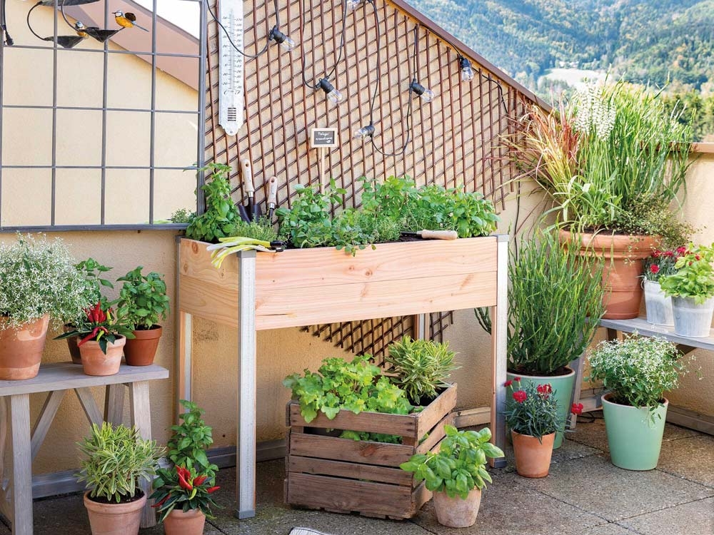 8 modèles de jardins potagers pour organiser ses cultures - Jardiland