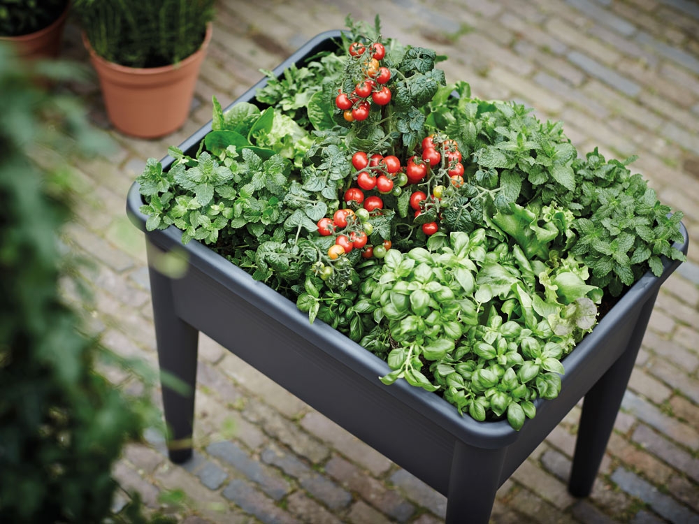 Créez un mini-potager sur votre balcon