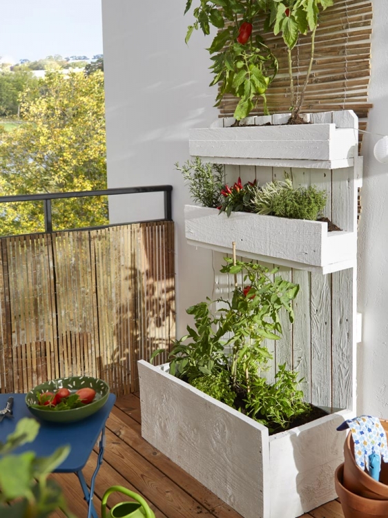 Faire pousser aubergines, courgettes, poivrons et tomates sur son balcon