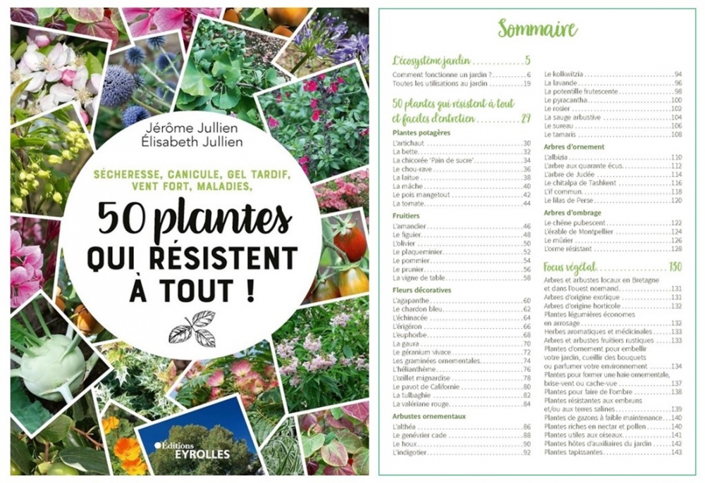 Un aperçu du sommaire du livre "50 plantes qui résistent à tout !"