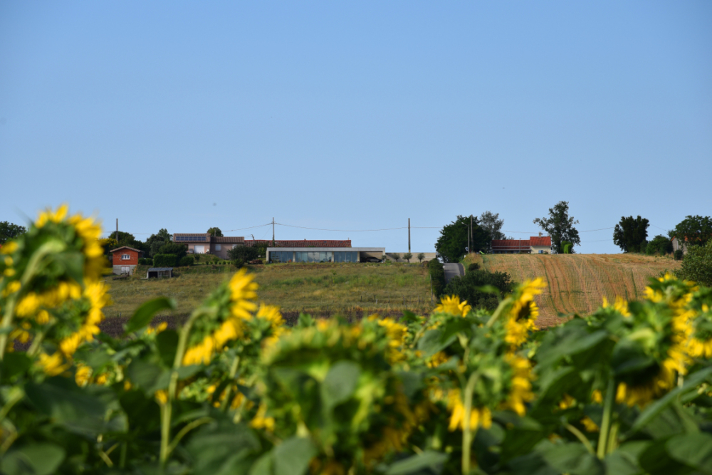 La maison s'intègre dans le paysage